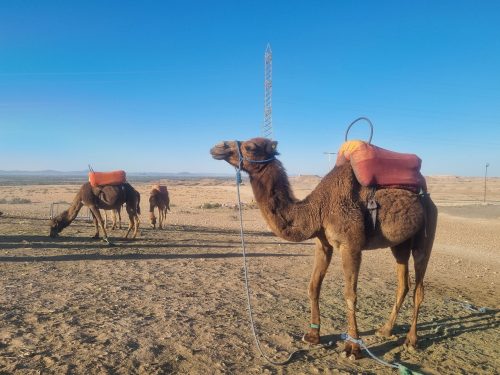 Séminaire à Marrakech